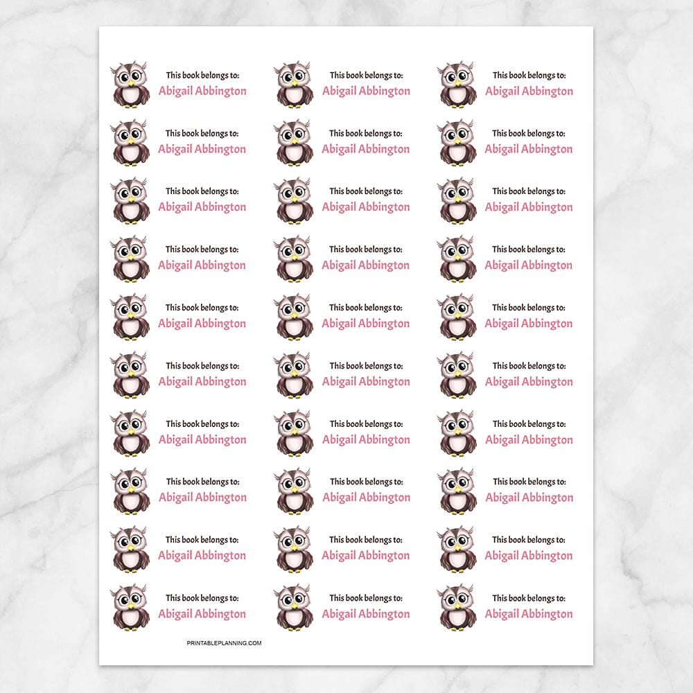 Printable Adorable Owl Bookplate Labels for Name Labeling Books at Printable Planning. Sheet of 30 labels.