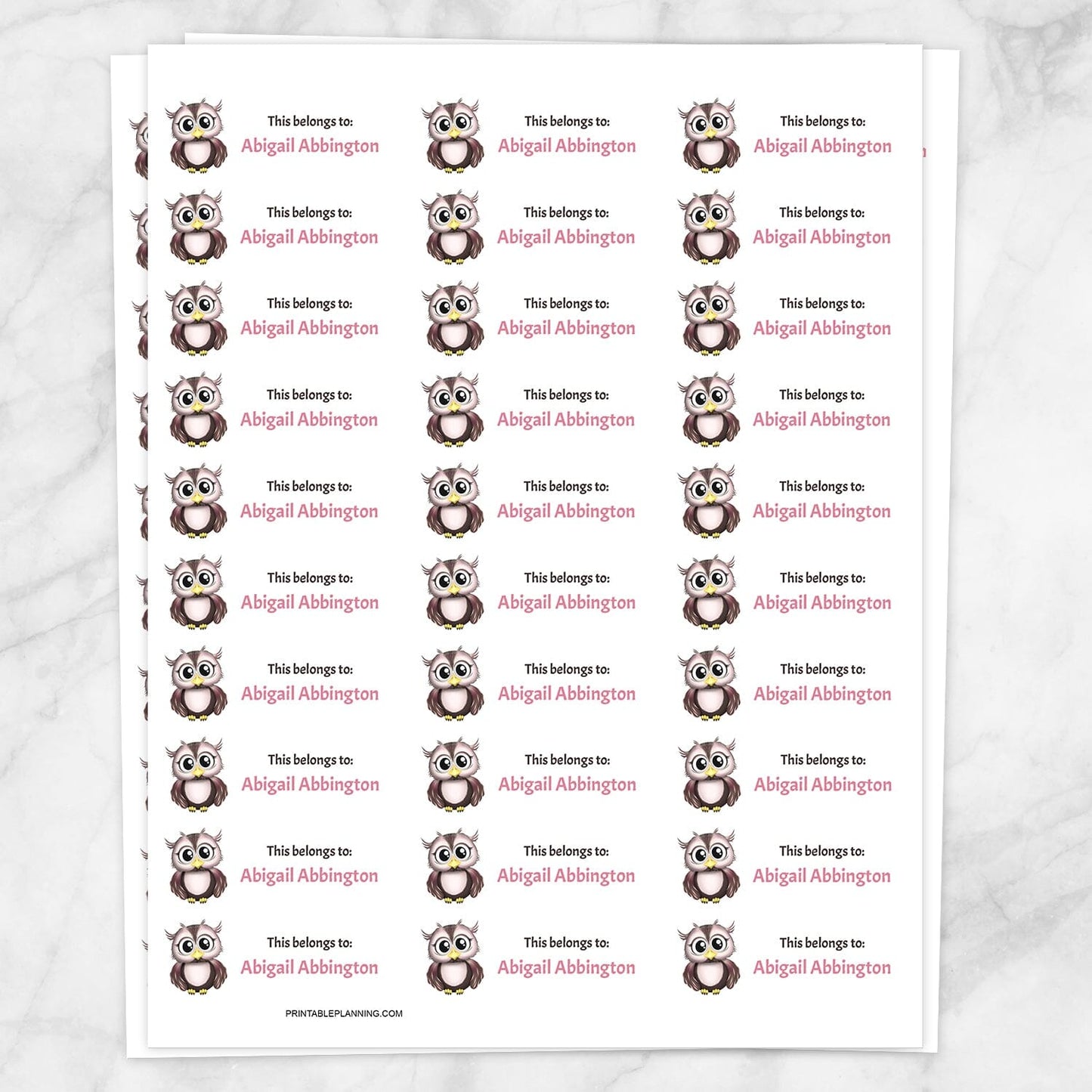 Printable Adorable Owl Name Labels for School Supplies at Printable Planning. Sheet of 30 labels.