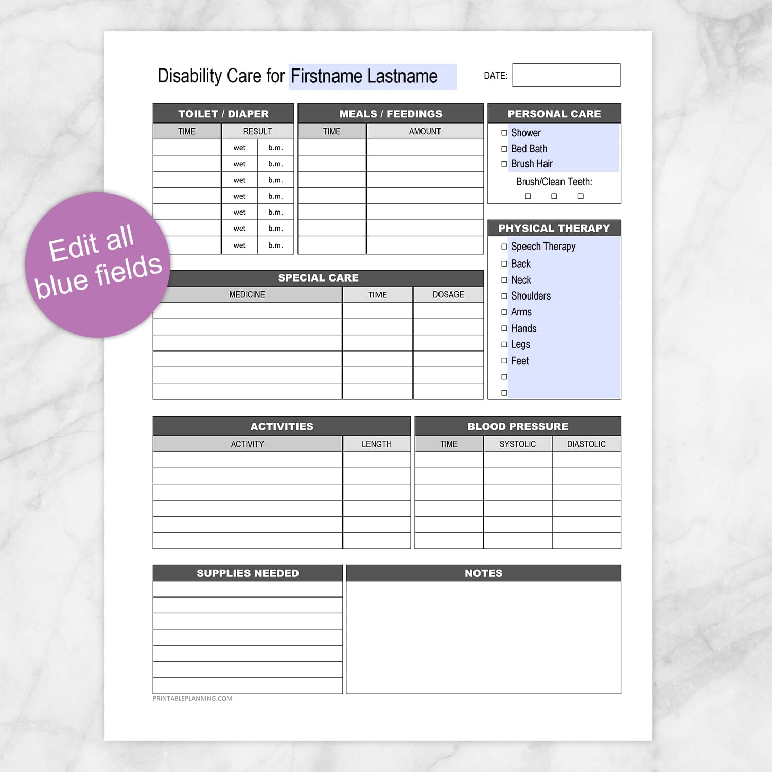 Printable Disability Care, Daily Care Sheet at Printable Planning. Edit all blue fields.