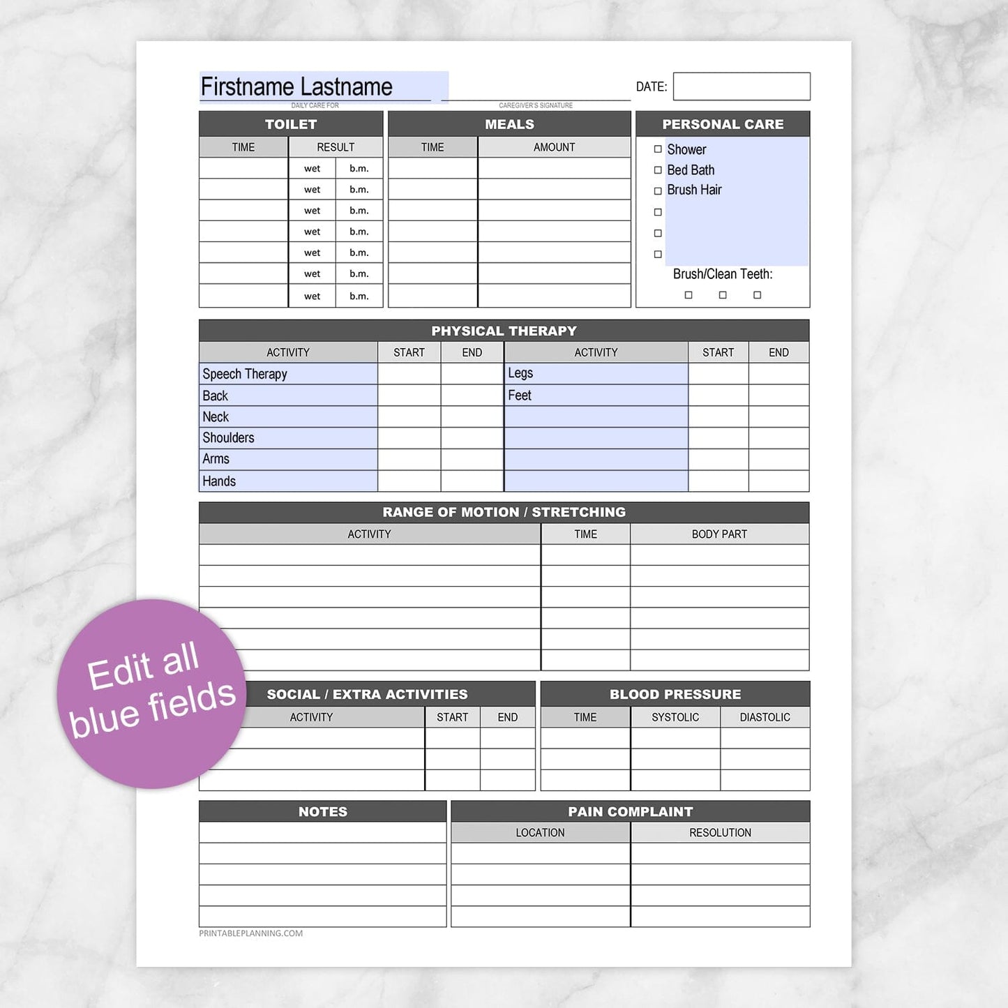 Printable Disability with Physical Therapy Daily Care Sheet at Printable Planning. Edit all blue fields.